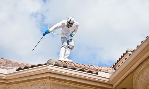 Roof Moss Removal